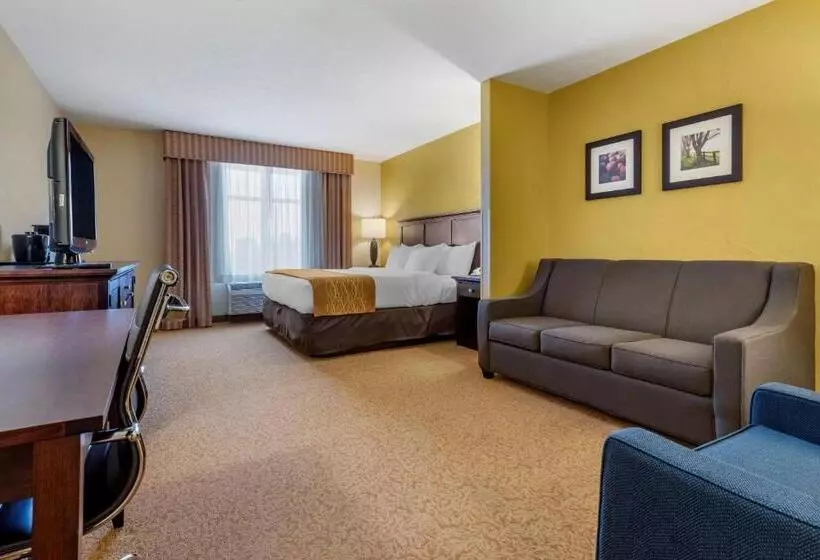 キングサイズベッドのスイートルーム, Comfort Inn & Suites