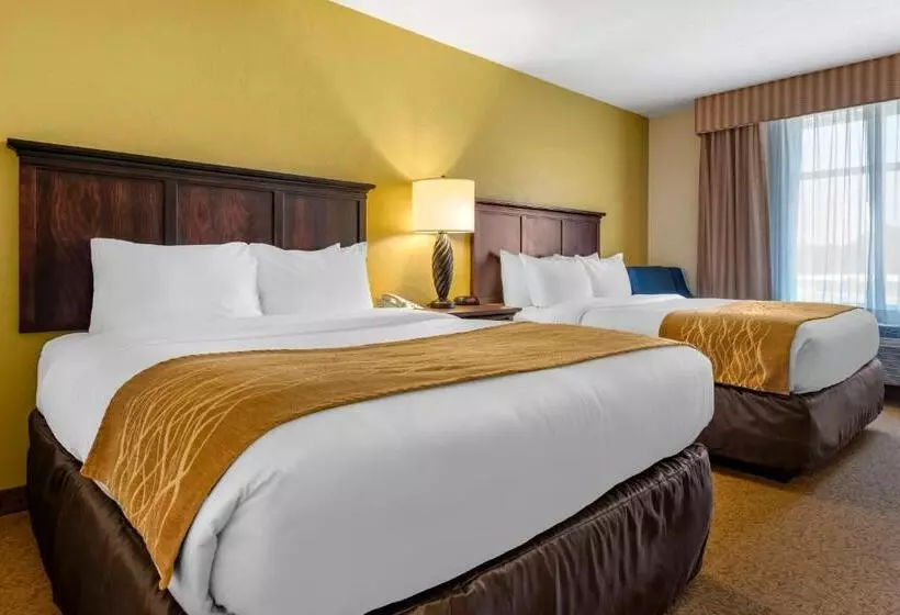 スイート, Comfort Inn & Suites