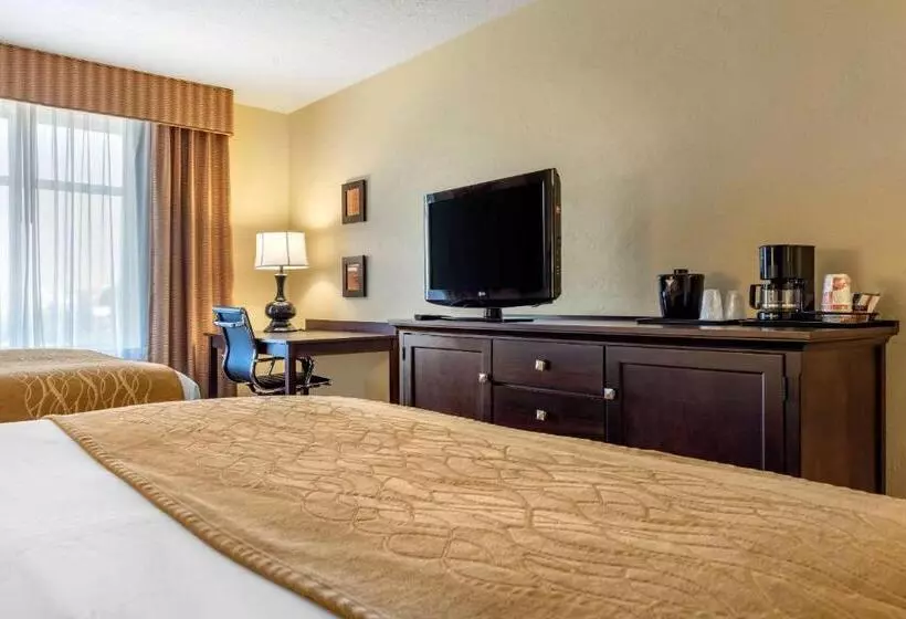 スタンダードルーム, Comfort Inn & Suites