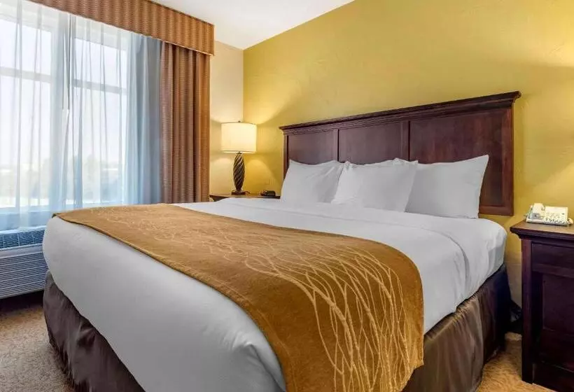 身障者適用キングサイズベッドルーム, Comfort Inn & Suites