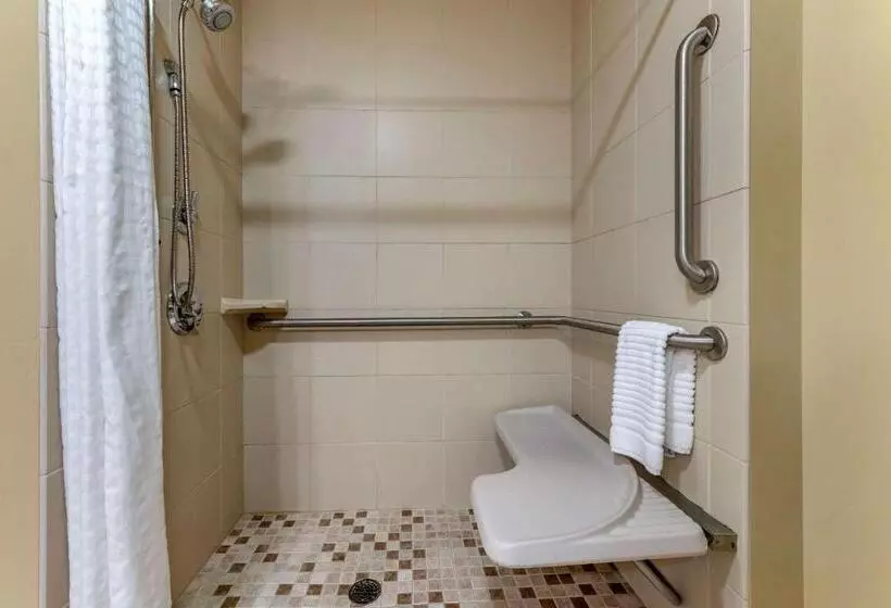 身障者適用キングサイズベッドルーム, Comfort Inn & Suites