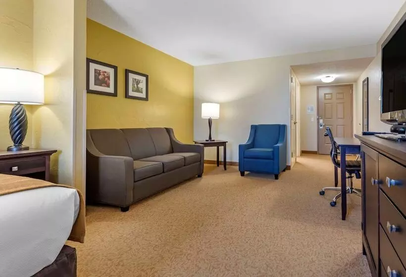身障者適用スイートルーム, Comfort Inn & Suites
