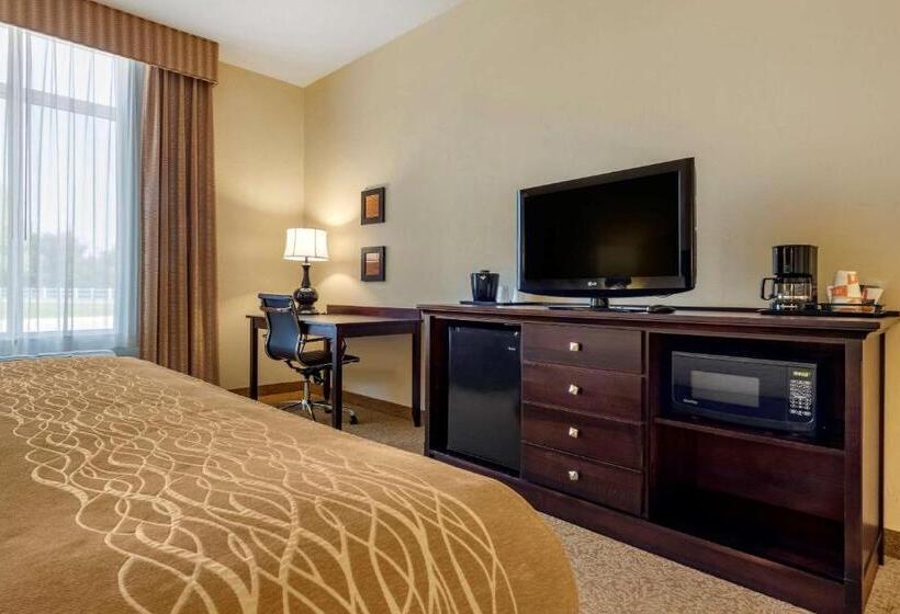 Стандартный Номер Кровать Кинг, Comfort Inn & Suites