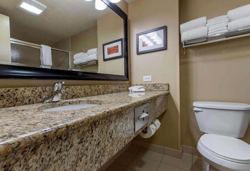 חדר סטנדרט שתי מיטות זוגיות, Comfort Inn & Suites