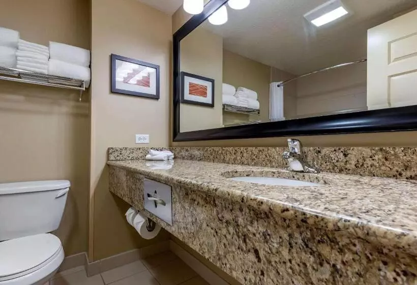 スタンダードルーム, Comfort Inn & Suites