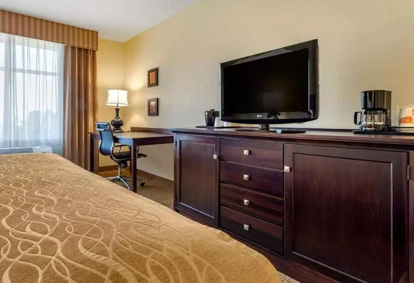 身障者適用キングサイズベッドルーム, Comfort Inn & Suites
