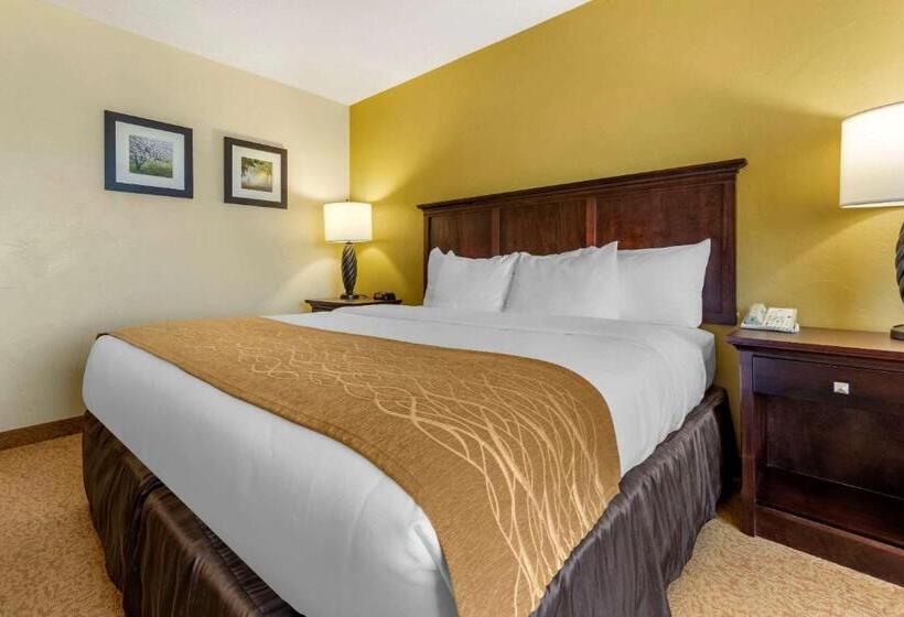 Номер Стандарт Кровать Кинг Адаптированный для Инвалидов, Comfort Inn & Suites