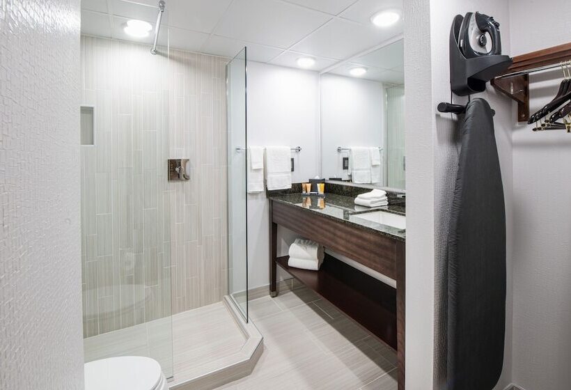 جناح بريميوم, Nced Conference Center &