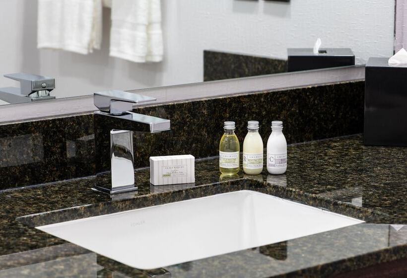 جناح بريميوم, Nced Conference Center &