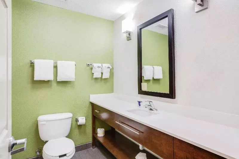 キングサイズベッドのスタンダードルーム, Sleep Inn & Suites Hiram Atlanta Northwest