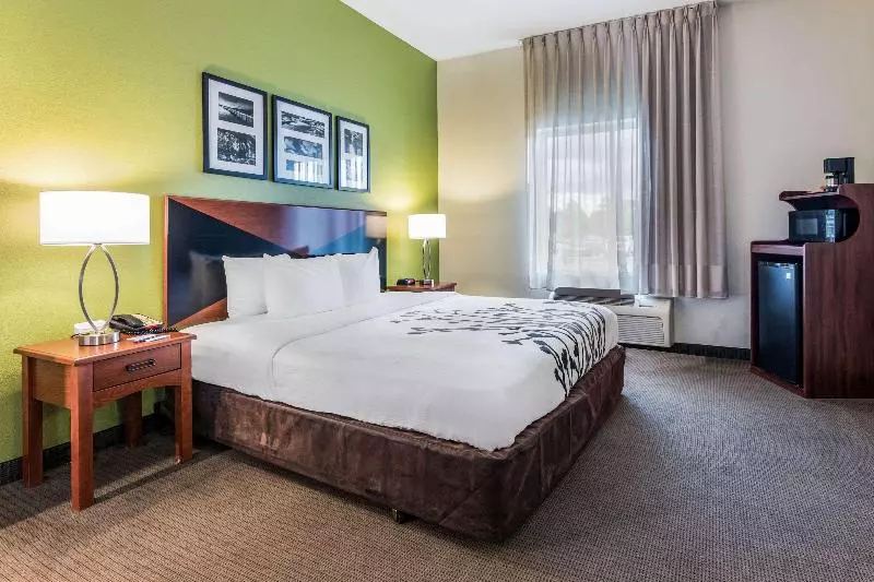 キングサイズベッドのスタンダードルーム, Sleep Inn & Suites Hiram Atlanta Northwest