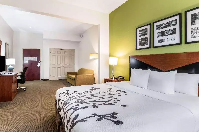 キングサイズベッドのスタンダードルーム, Sleep Inn & Suites Hiram Atlanta Northwest