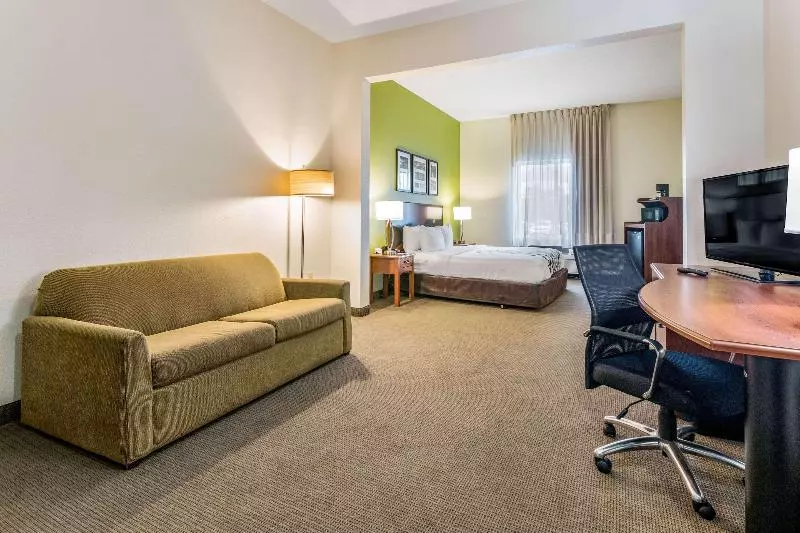 キングサイズベッドのスタンダードルーム, Sleep Inn & Suites Hiram Atlanta Northwest