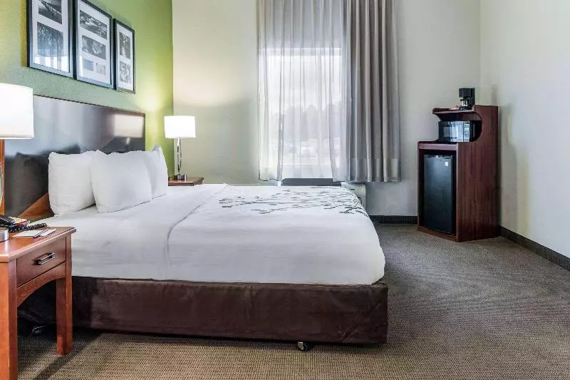 キングサイズベッドのスタンダードルーム, Sleep Inn & Suites Hiram Atlanta Northwest