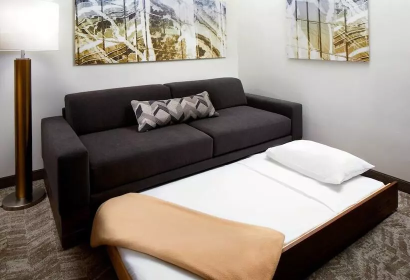 スイート, Springhill Suites Houston Nasa/webster
