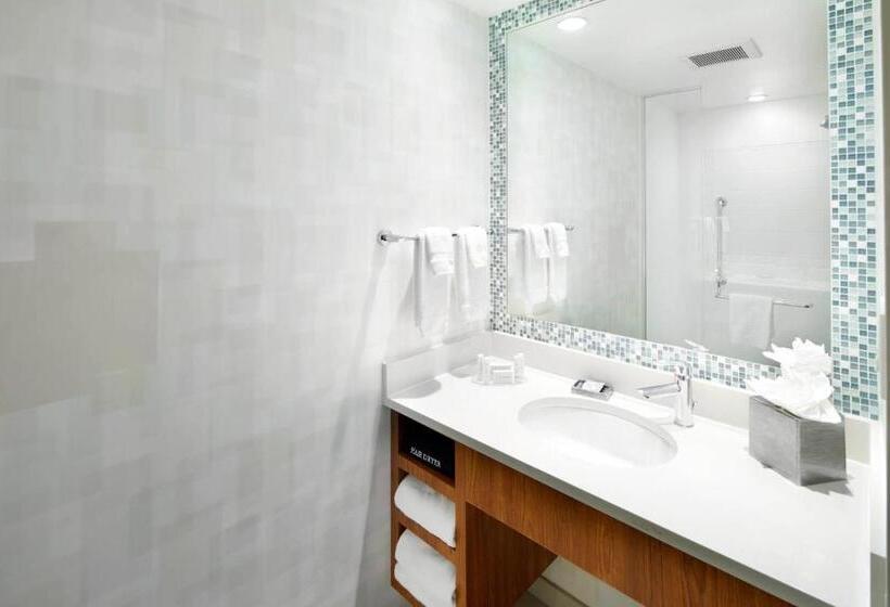 套房, Springhill Suites Houston Nasa/webster