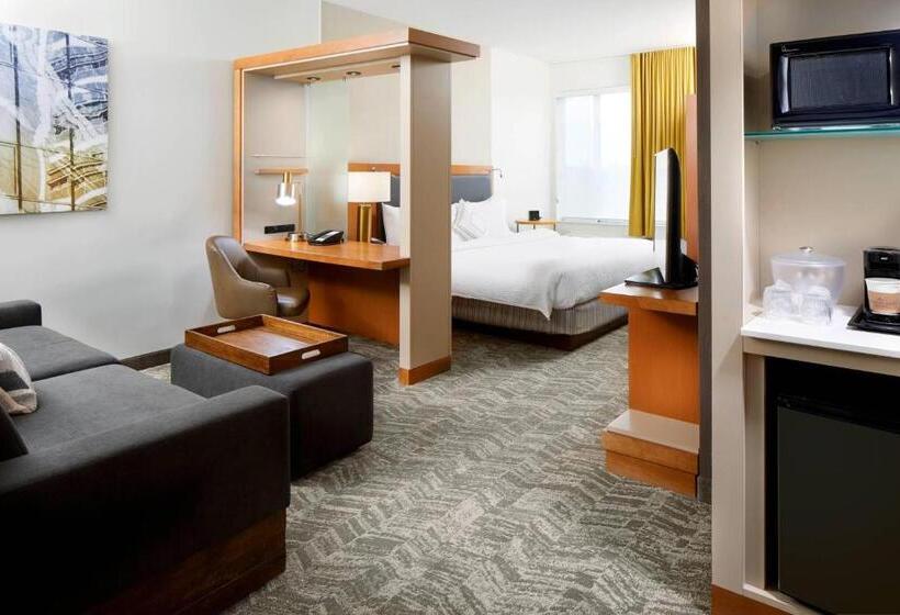 适合残疾人士使用的套间, Springhill Suites Houston Nasa/webster