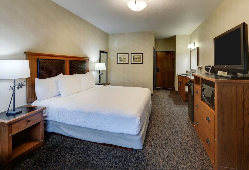 Номер Deluxe, Stoney Creek Hotel Sioux City