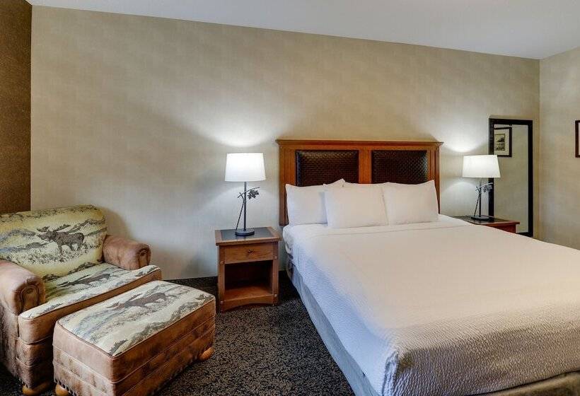 Номер Deluxe, Stoney Creek Hotel Sioux City