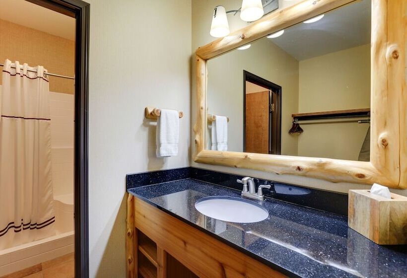 Люкс с гидромассажем, Stoney Creek Hotel Sioux City