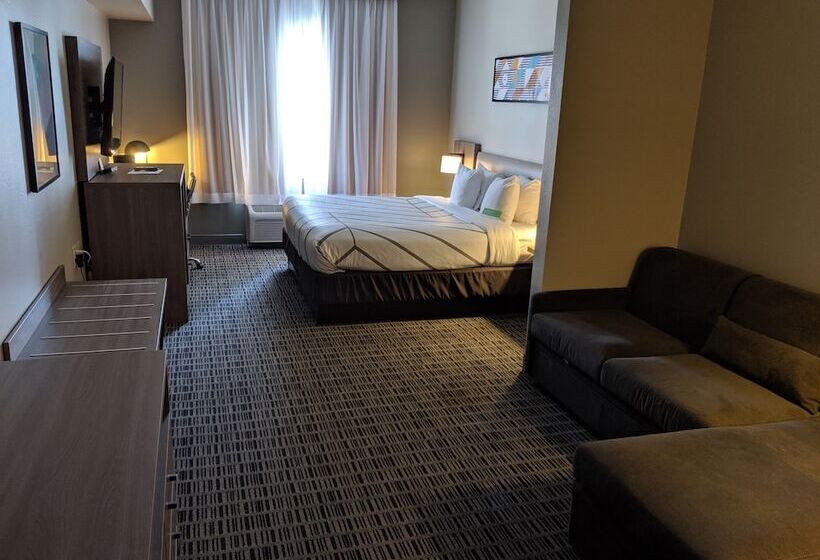 Номер Deluxe, La Quinta By Wyndham Montgomery