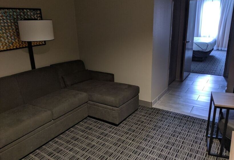 Люкс, La Quinta By Wyndham Montgomery