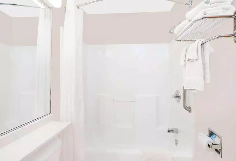 ビジネスルーム, Microtel Inn & Suites By Wyndham Colfax