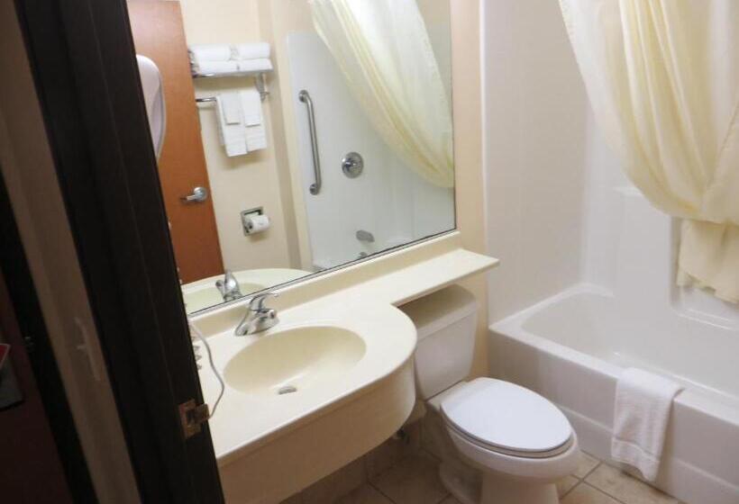 Номер бизнес-класса, Microtel Inn & Suites By Wyndham Colfax