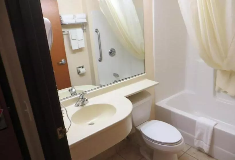 ビジネスルーム, Microtel Inn & Suites By Wyndham Colfax