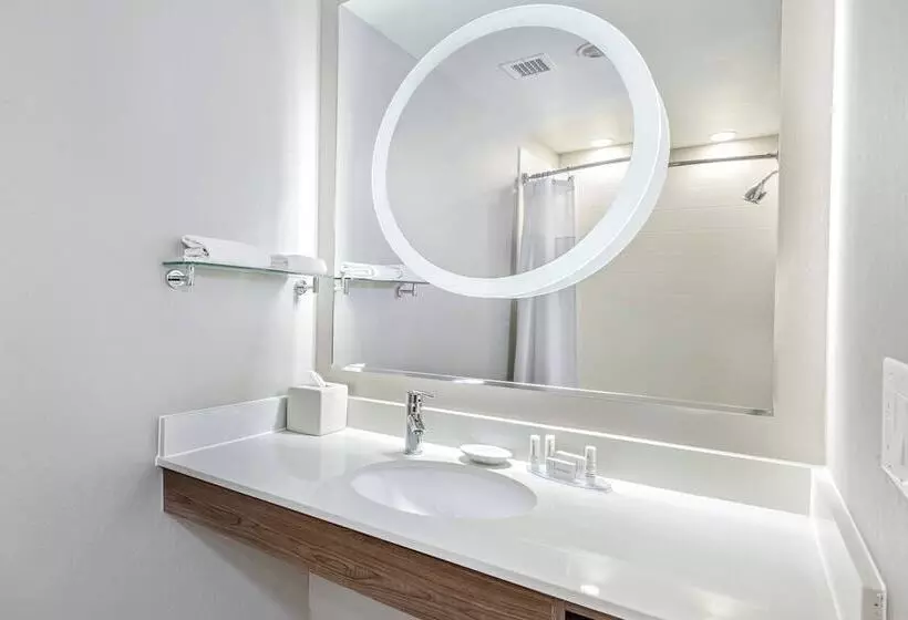 スタンダードスタジオ, Springhill Suites By Marriott San Antonio Airport
