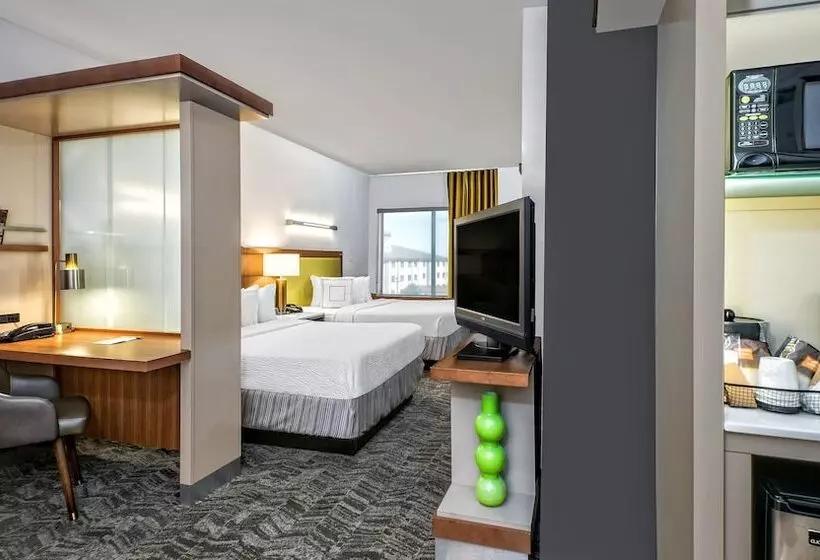 スタンダードスタジオ, Springhill Suites By Marriott San Antonio Airport