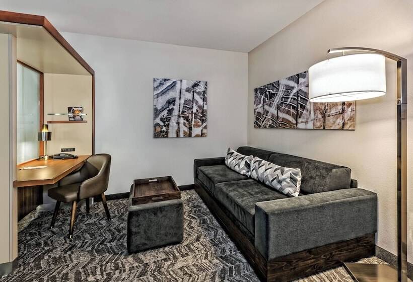 Studio Standard, Springhill Suites By Marriott San Antonio Airport