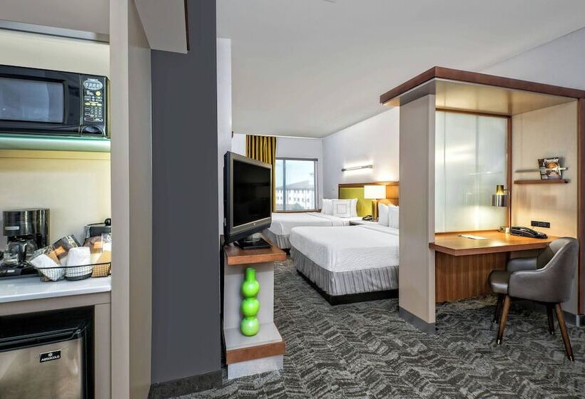 إستوديو قياسى, Springhill Suites By Marriott San Antonio Airport