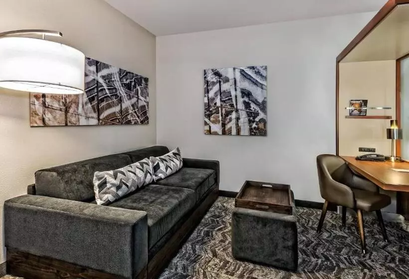 キングサイドベッドのスタンダードワンルーム, Springhill Suites By Marriott San Antonio Airport