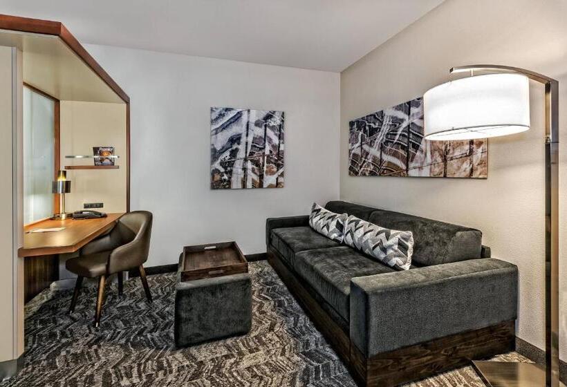 Studio Standard Lit King Size, Springhill Suites By Marriott San Antonio Airport