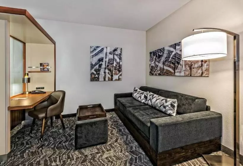 キングサイドベッドのスタンダードワンルーム, Springhill Suites By Marriott San Antonio Airport