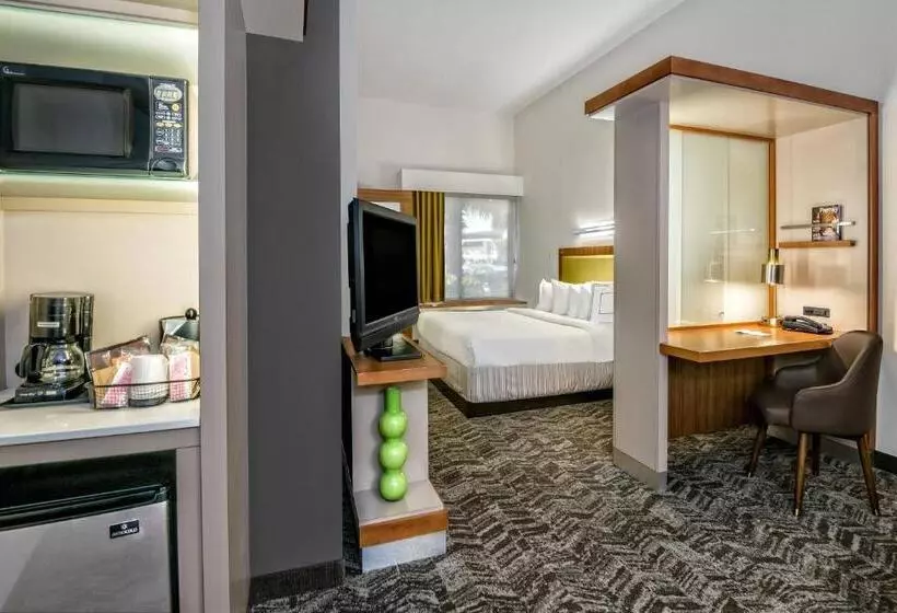 キングサイドベッドのスタンダードワンルーム, Springhill Suites By Marriott San Antonio Airport