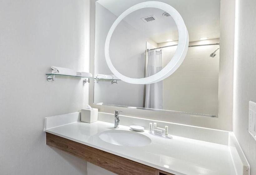 Студия Стандарт, Springhill Suites By Marriott San Antonio Airport