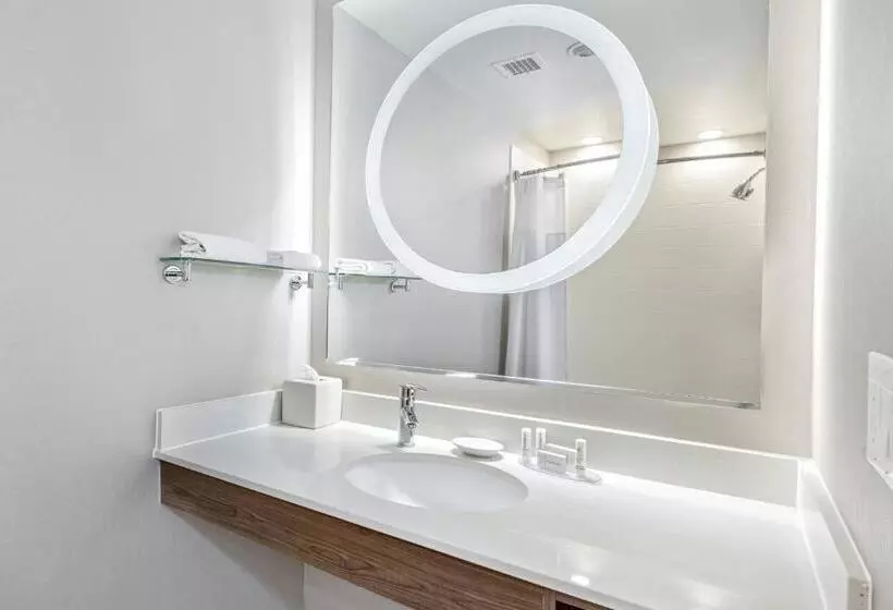 スタンダードスタジオ, Springhill Suites By Marriott San Antonio Airport