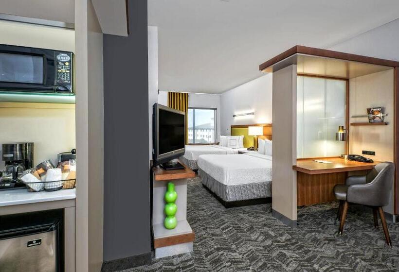 Studio Standard, Springhill Suites By Marriott San Antonio Airport