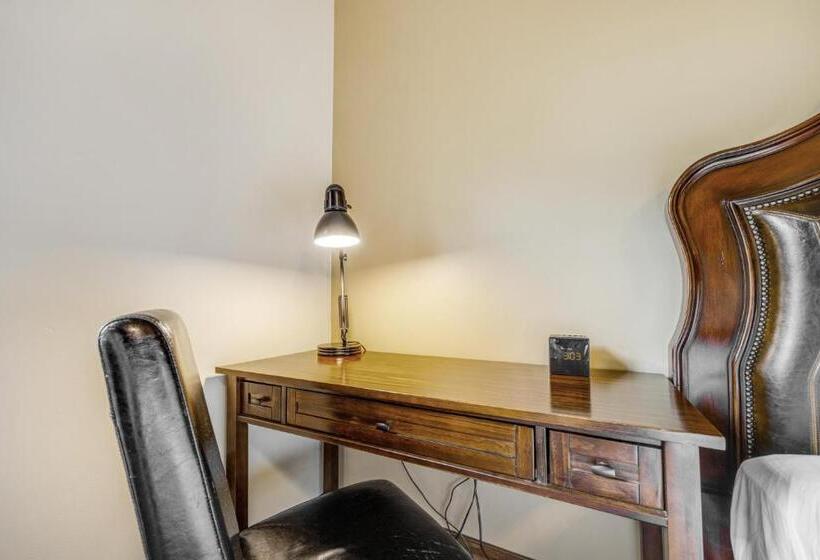 标准间, The White Buffalo Club