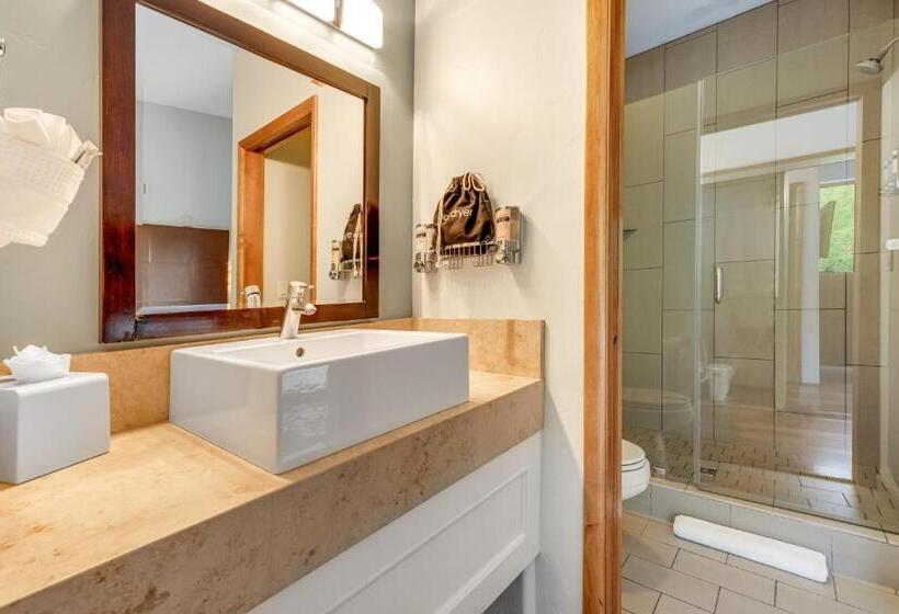 套房, The White Buffalo Club