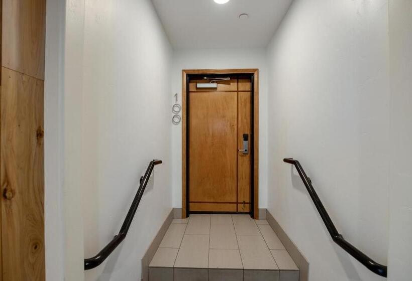 带1个卧室的顶楼公寓, The White Buffalo Club