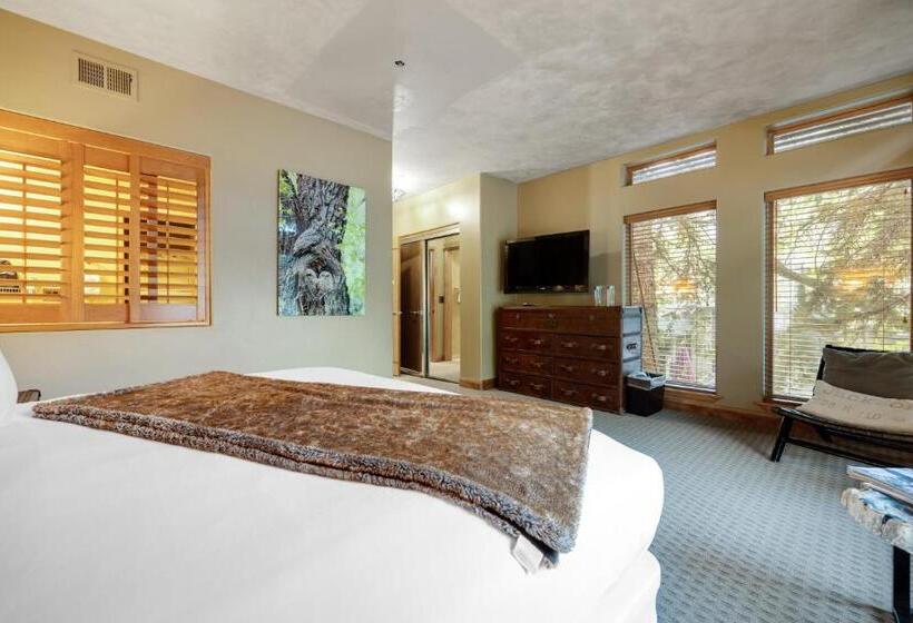 带1个卧室的顶楼公寓, The White Buffalo Club