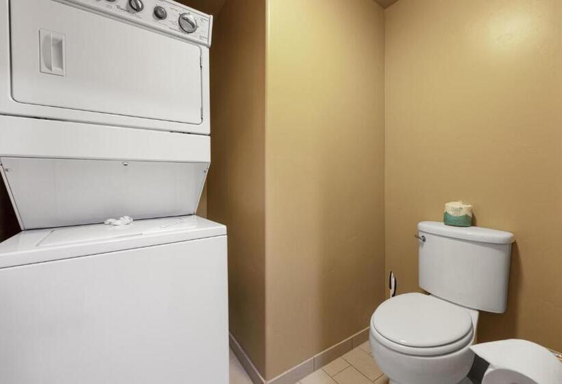 带1个卧室的顶楼公寓, The White Buffalo Club