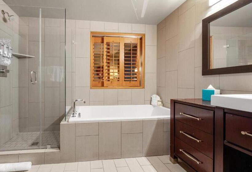 带1个卧室的顶楼公寓, The White Buffalo Club