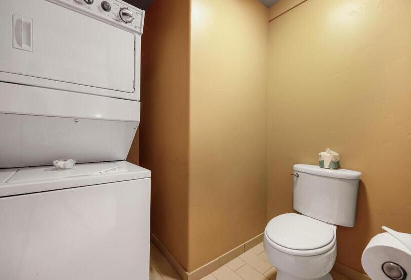 带1个卧室的顶楼公寓, The White Buffalo Club