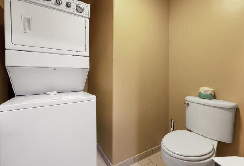 带1个卧室的顶楼公寓, The White Buffalo Club