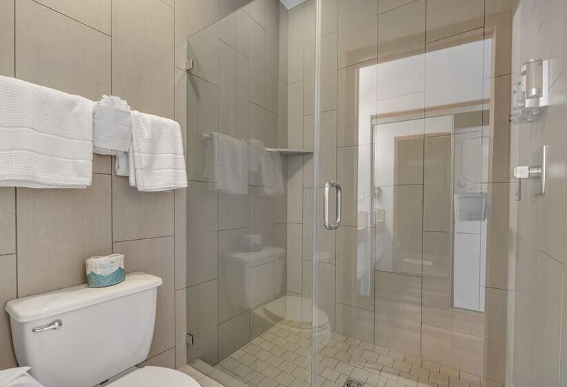 套房, The White Buffalo Club