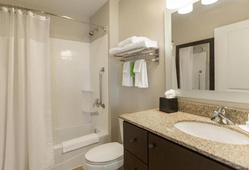 إستوديو قياسى سرير كينج, Towneplace Suites Winchester